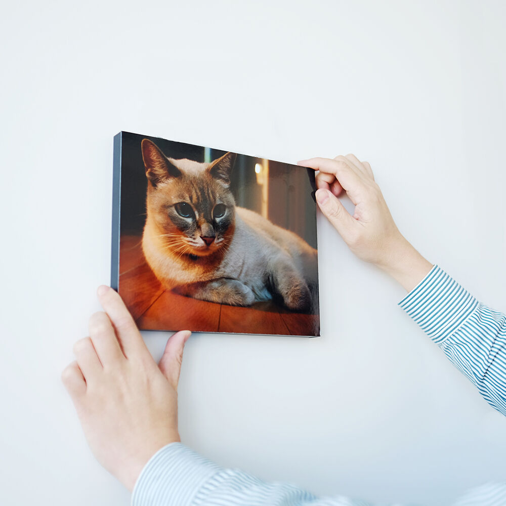 WALL DECOR カジュアル | ビックカメラ ネットプリントサービス